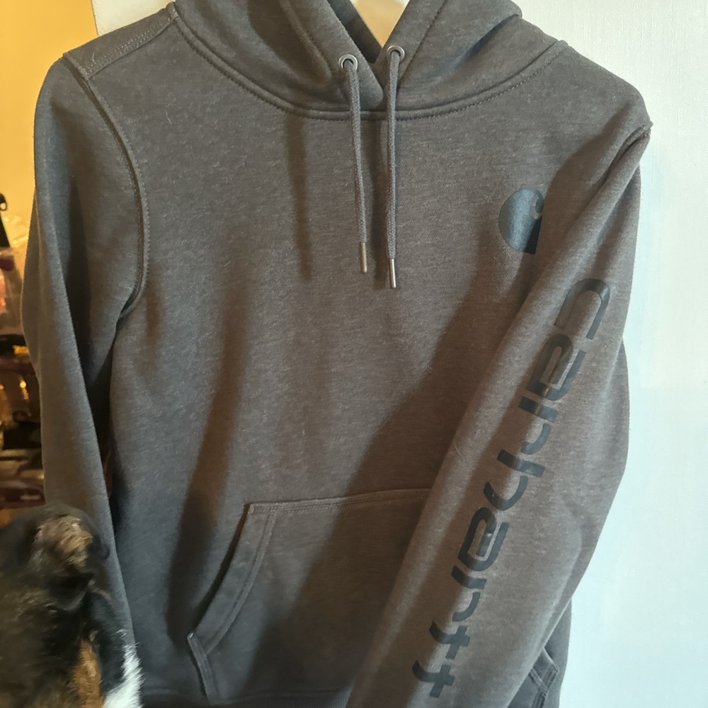 Carhartt Men's Charcoal Hoodie
